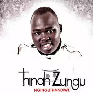 Thinah Zungu - Fear Not (feat. Dumi Mkokstad)